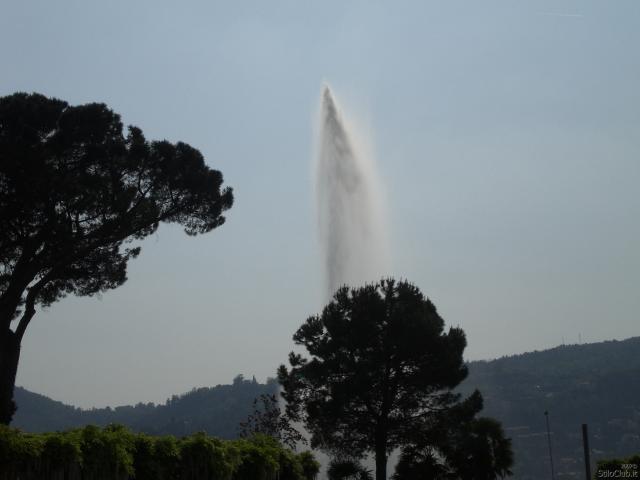 CIMG0443