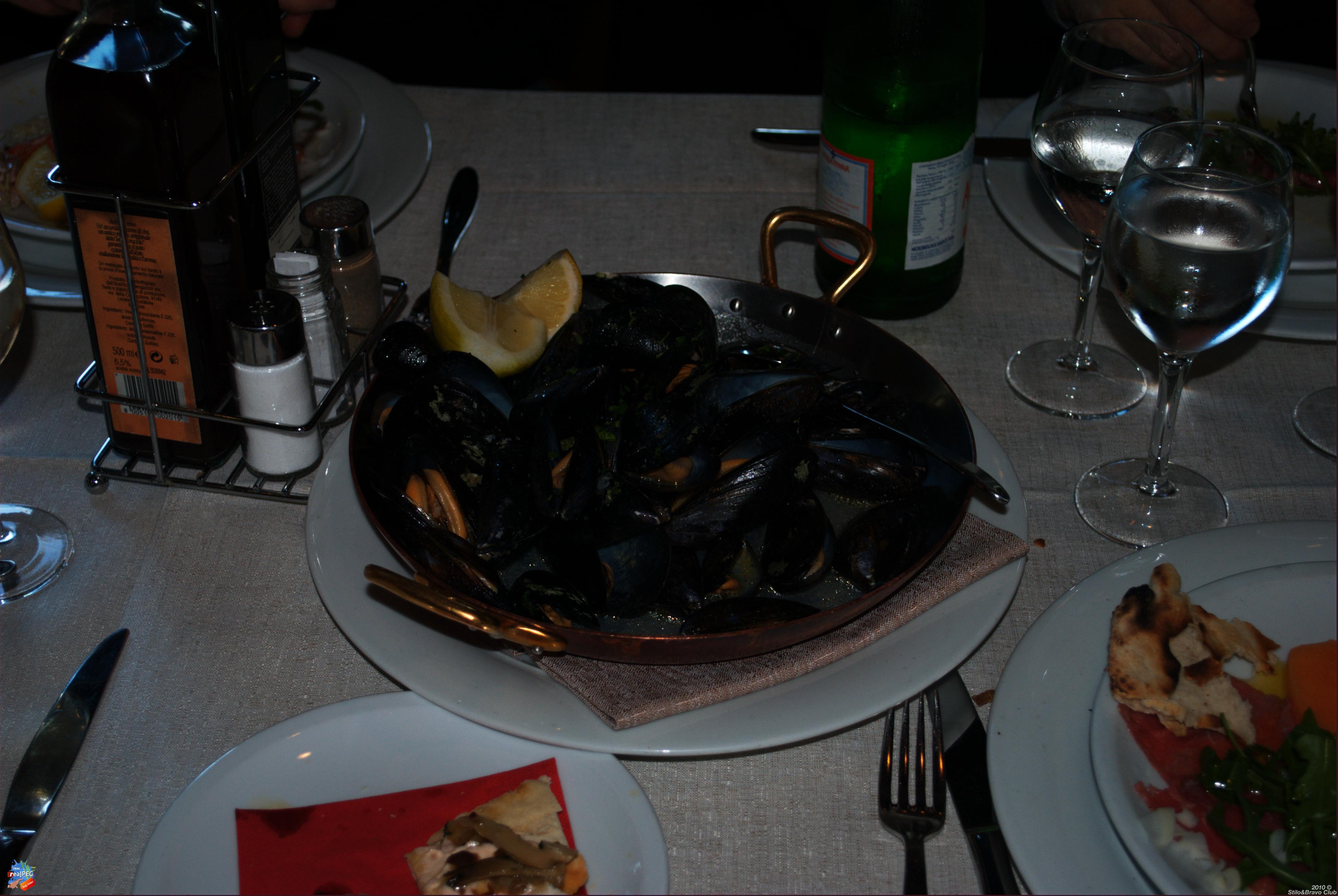 DSC_2956.jpg