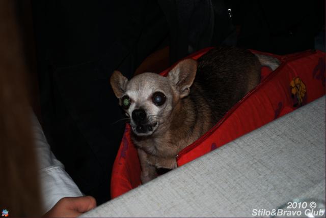 DSC_2966.jpg
