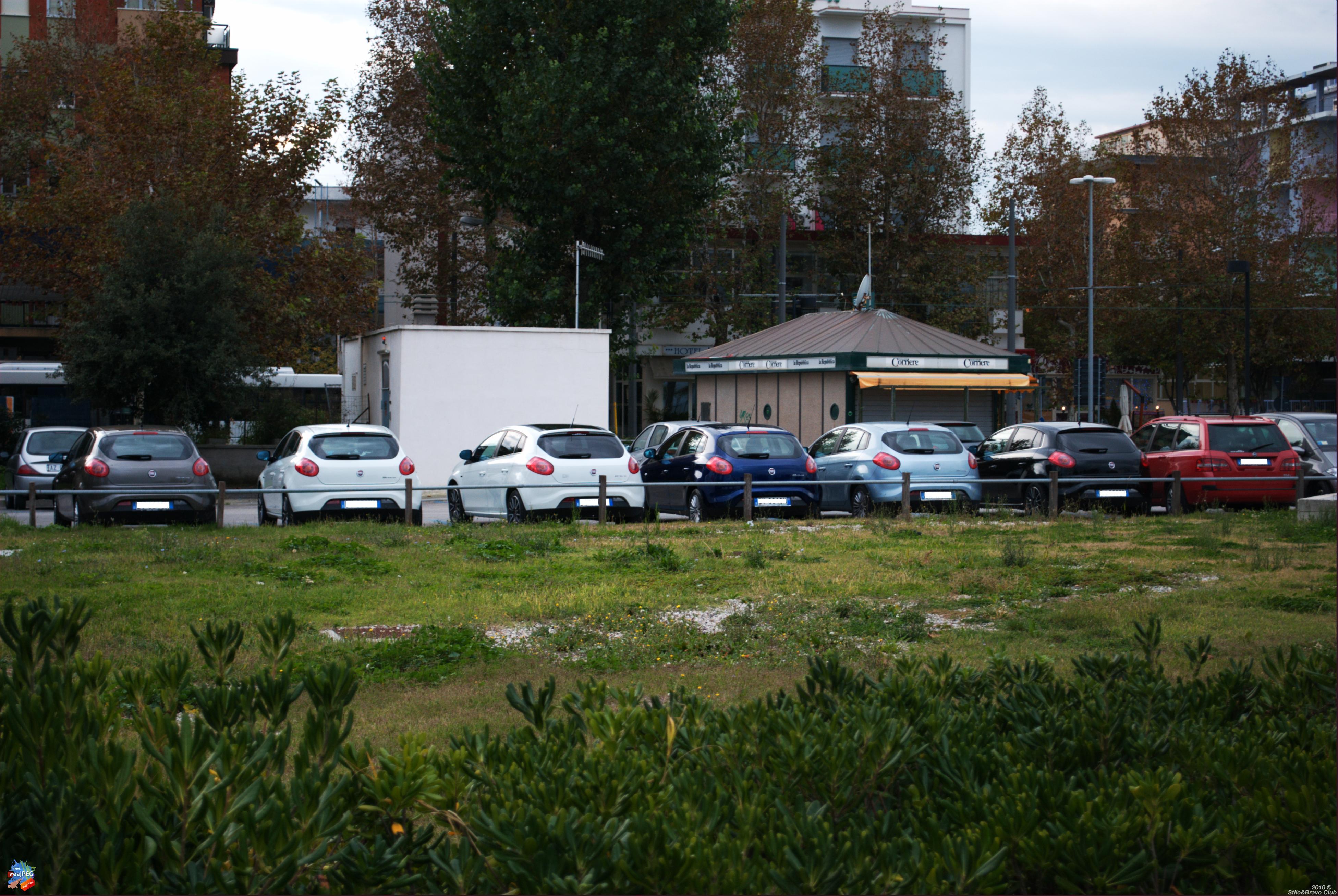 DSC_2980.jpg