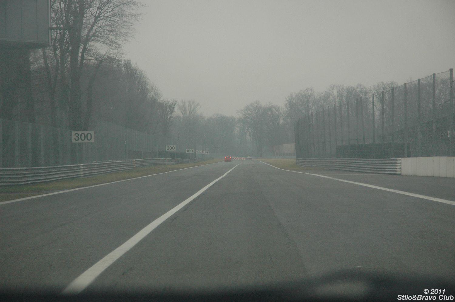 DSC_0205.JPG