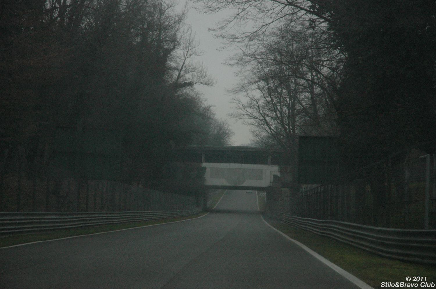 DSC_0209.JPG