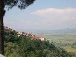 DSCN0729